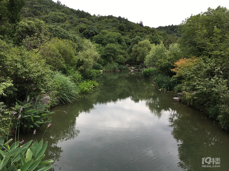 《剪刀手市井篇》系列--走進甘水巷，回憶小時候......