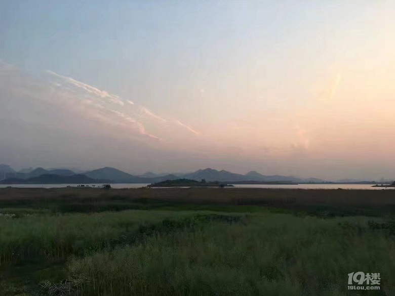 ĺɫϺຼ