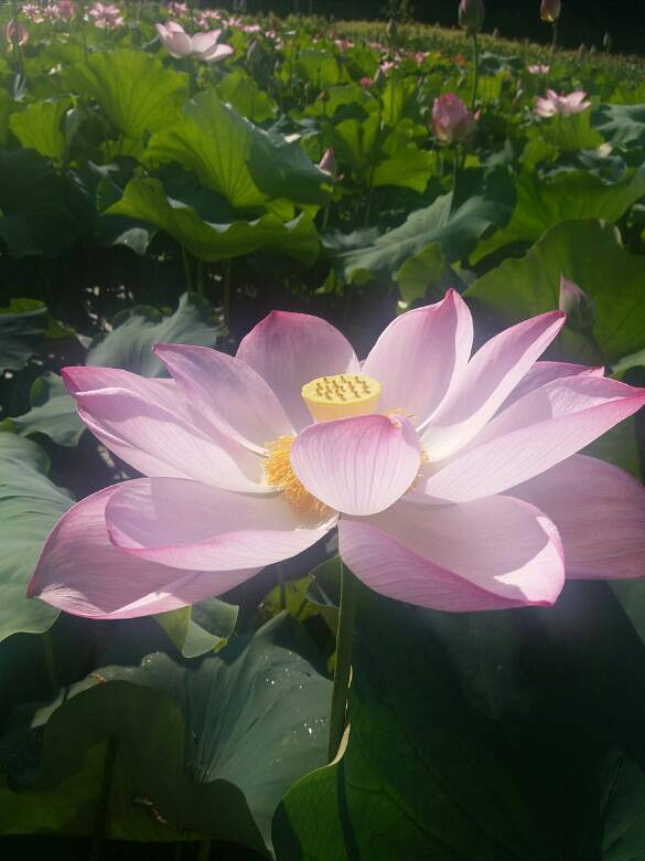 {ˮϪ]ޚgӭ