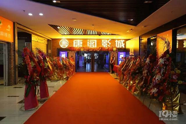 唐阁影城首届儿童电影文化展 --梦想起航,即将