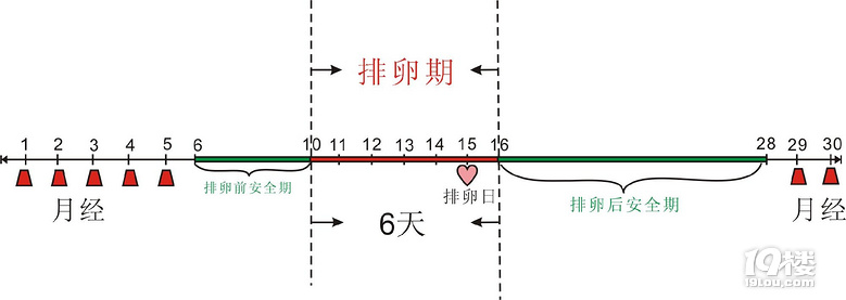 排卵期不排卵怎么办 及时治疗不会影响怀孕了