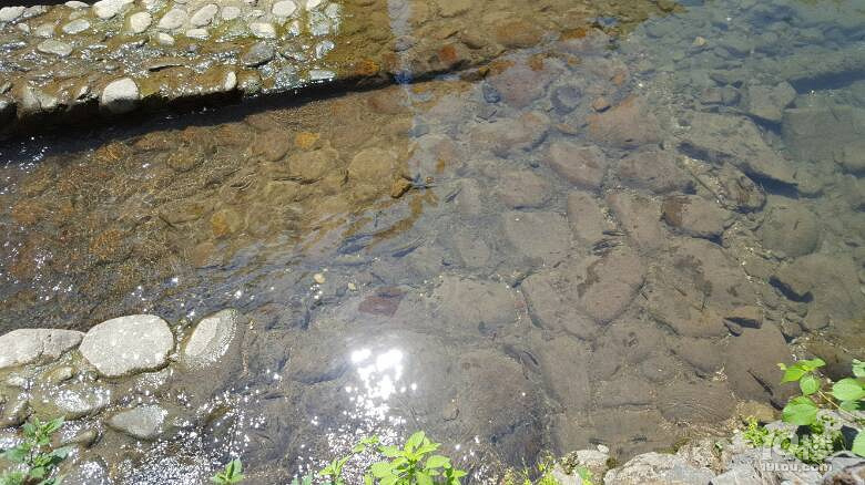 芹川古村