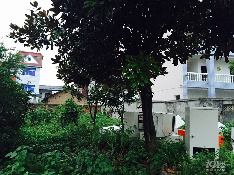 建德市航头镇政府突然对其旁边的厂房拆毁,造