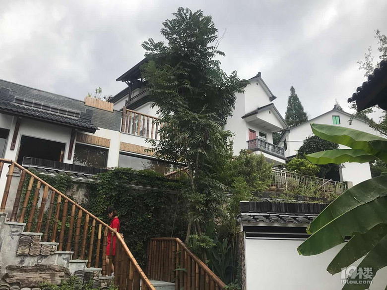 建德約你賞醉美秋色，大慈巖民宿村美如畫，李行亮也來助陣！