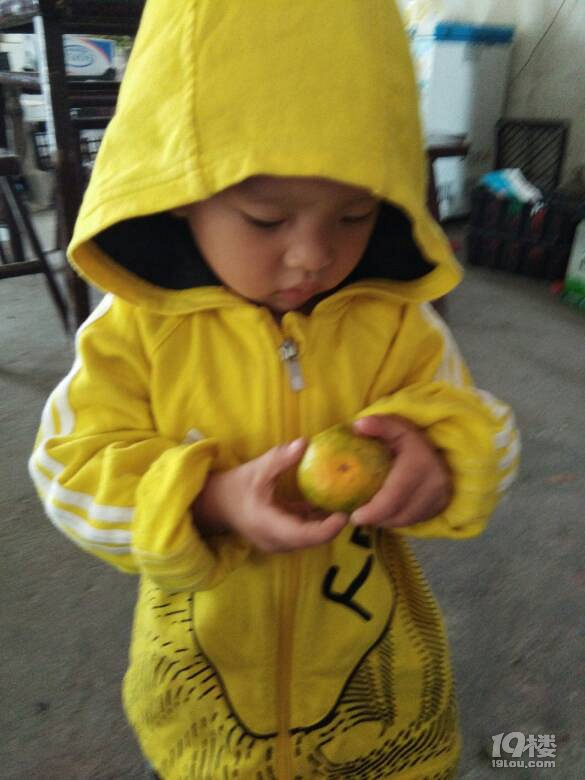 Ъ(jing)(gu)cСL(zhng)Ҫ(li)ˣ(zhn)ô^(gu)ˆ