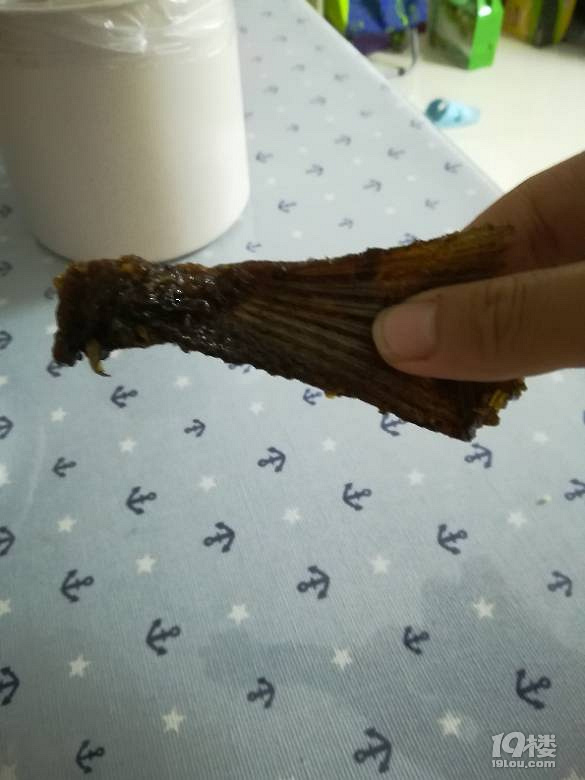 今日晚餐