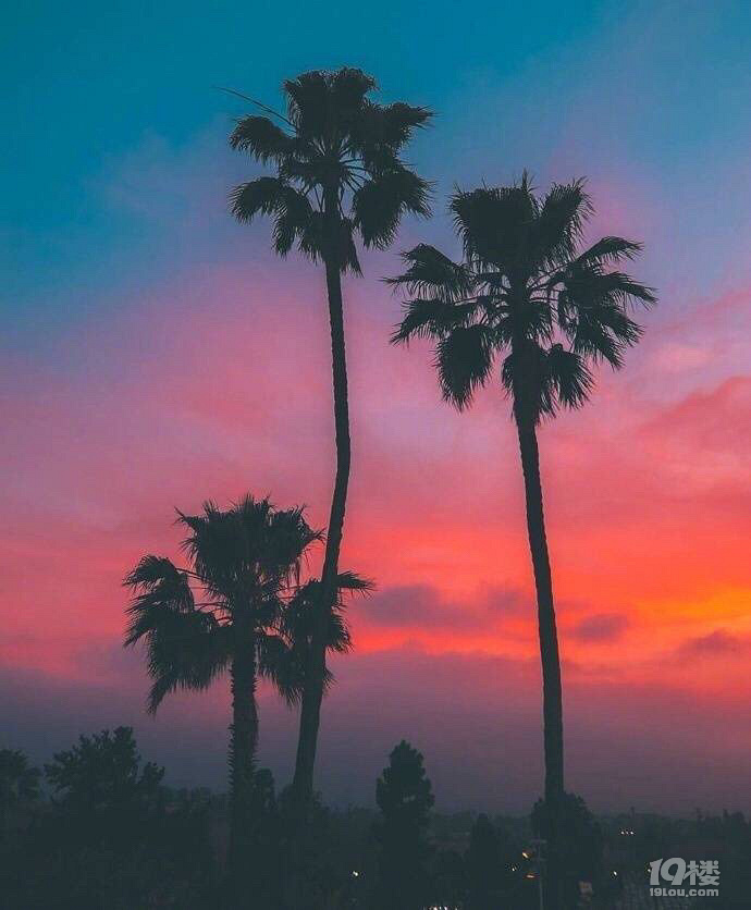 ôȻŮ