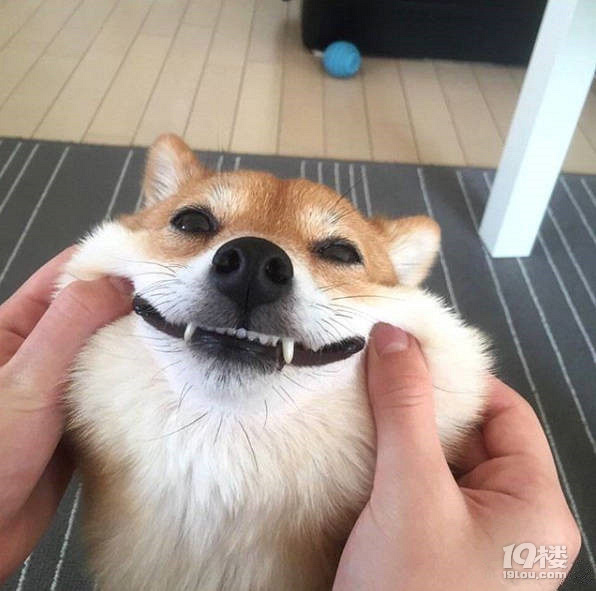Ъ?w)ȌɵС°~