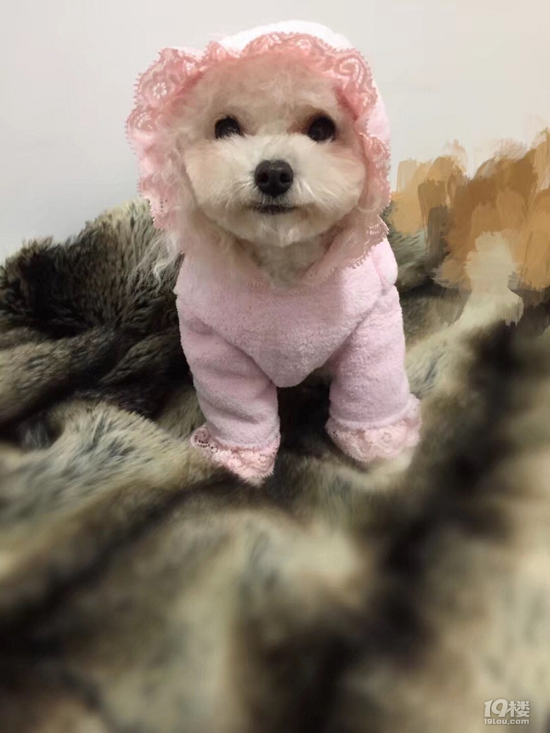 Ъ?w)ȌɵС°~