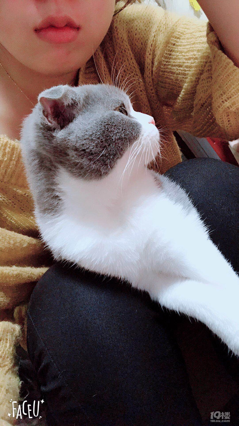 Ъ?w)ȌɵС°~