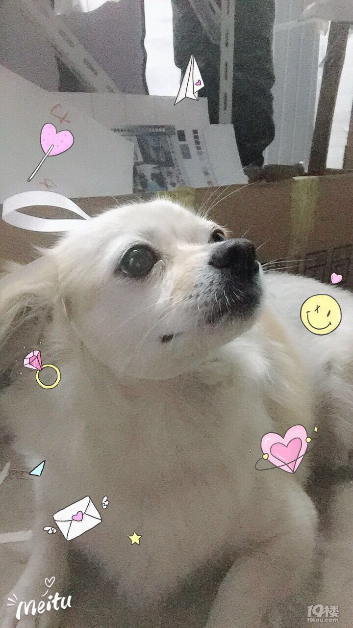 Ъ?w)ȌɵС°~