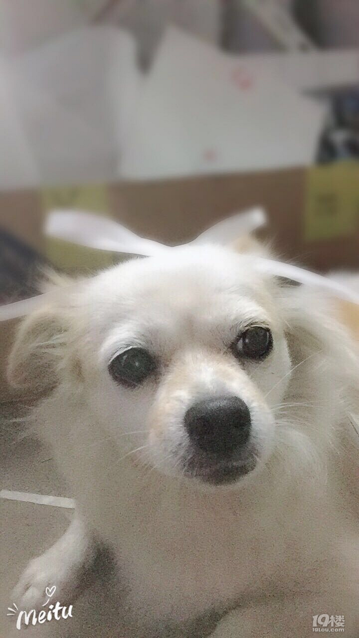 Ъ?w)ȌɵС°~
