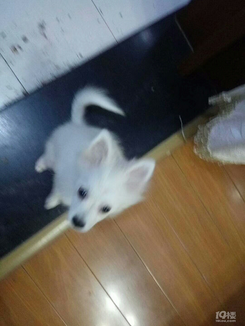 Ъ?w)ȌɵС°~