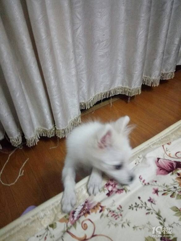 Ъ?w)ȌɵС°~