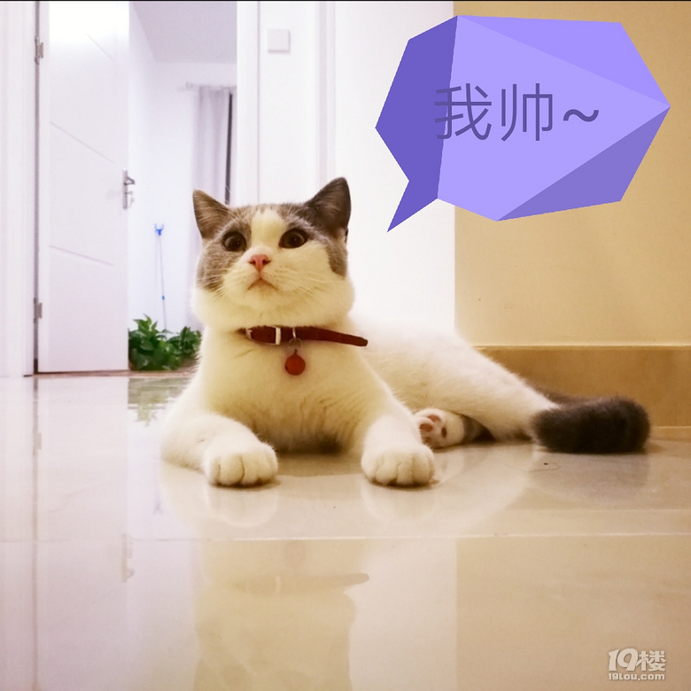 Ъ?w)ȌɵС°~