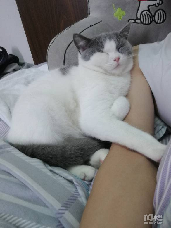 Ъ?w)ȌɵС°~