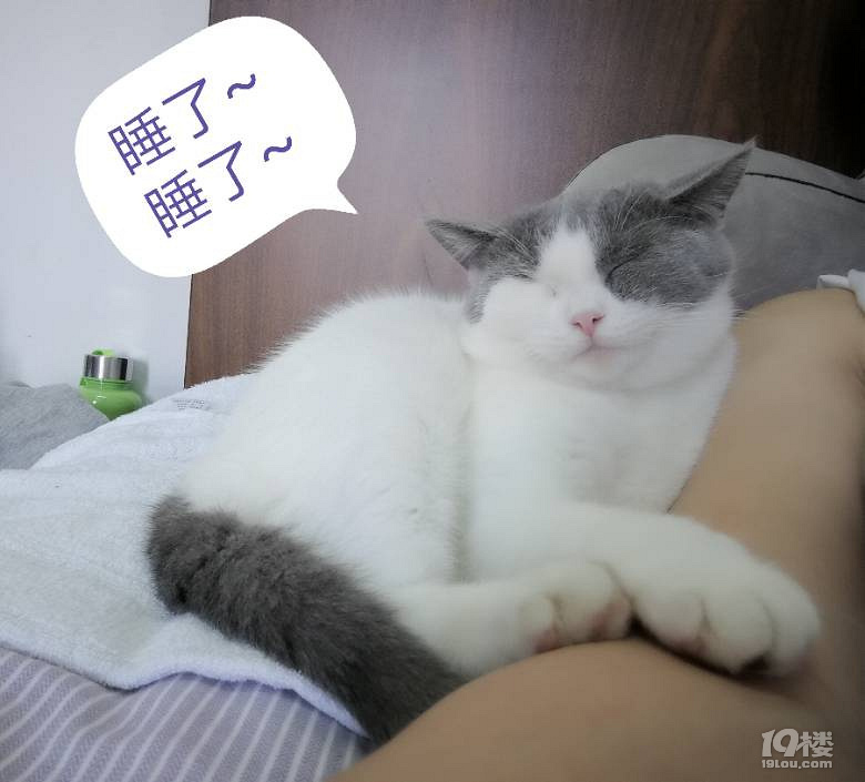 Ъ?w)ȌɵС°~