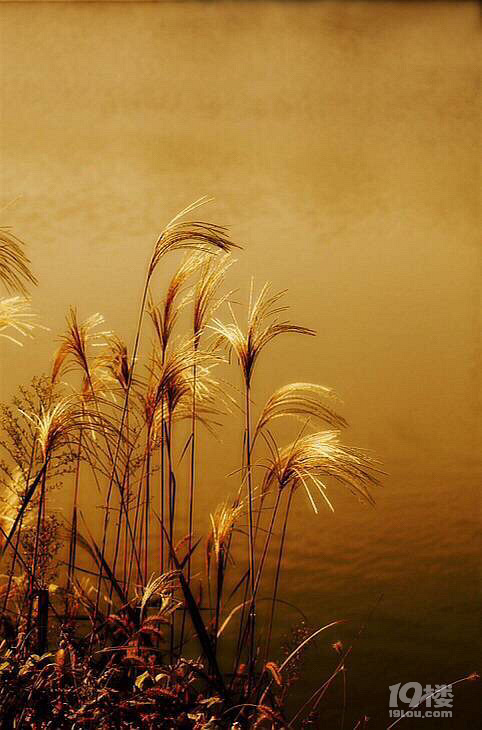  Jh(yun)ӳOѕrһ