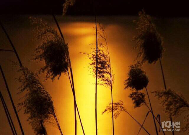  Jh(yun)ӳOѕrһ