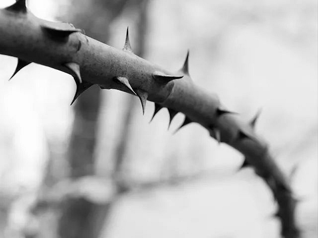 我的自杀学霸前男友