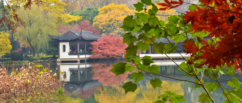 【初冬秋景】西湖景區(qū)紅葉醉人