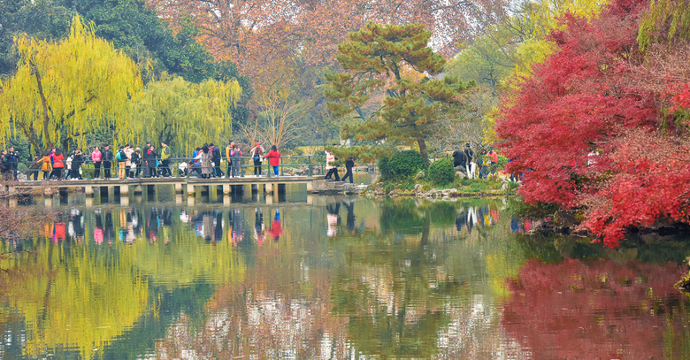 【初冬秋景】西湖景區(qū)紅葉醉人