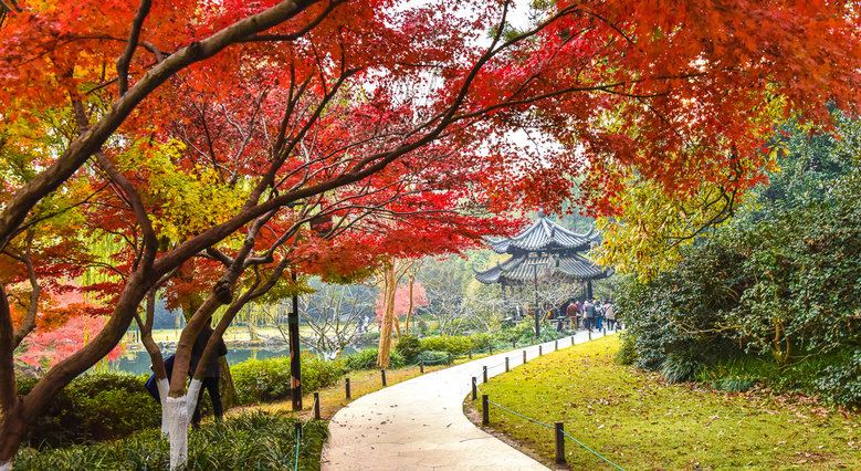 【初冬秋景】西湖景區(qū)紅葉醉人