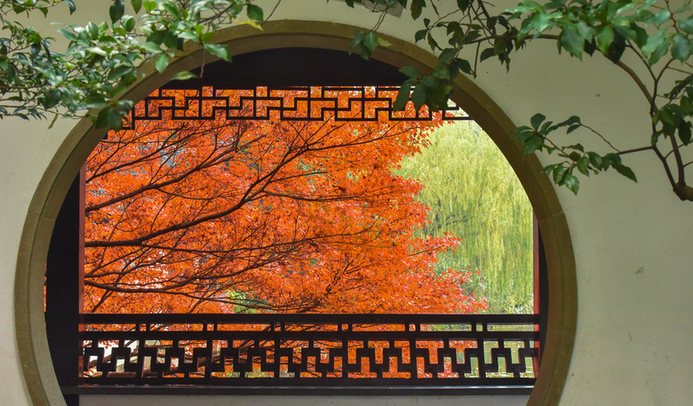 【初冬秋景】西湖景區(qū)紅葉醉人