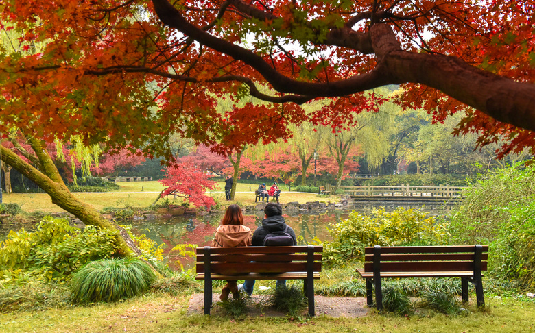 【初冬秋景】西湖景區(qū)紅葉醉人