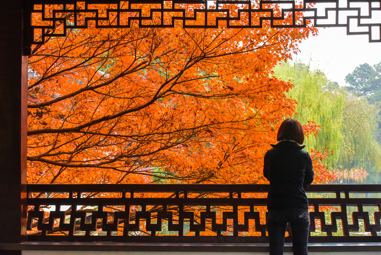 【初冬秋景】西湖景區(qū)紅葉醉人