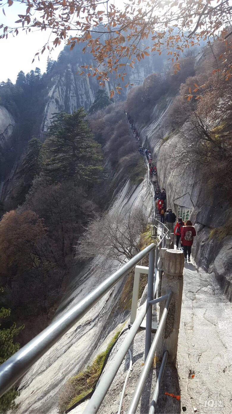 自古華山一條路