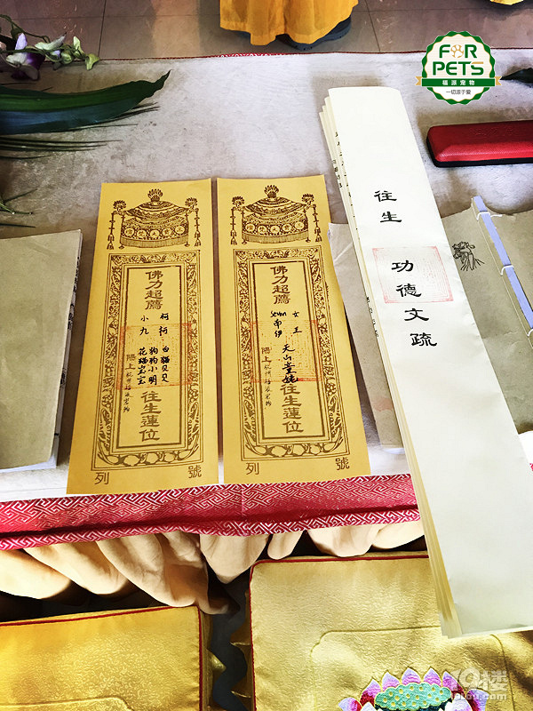 祈福長至節(jié)  彼岸蓮花開