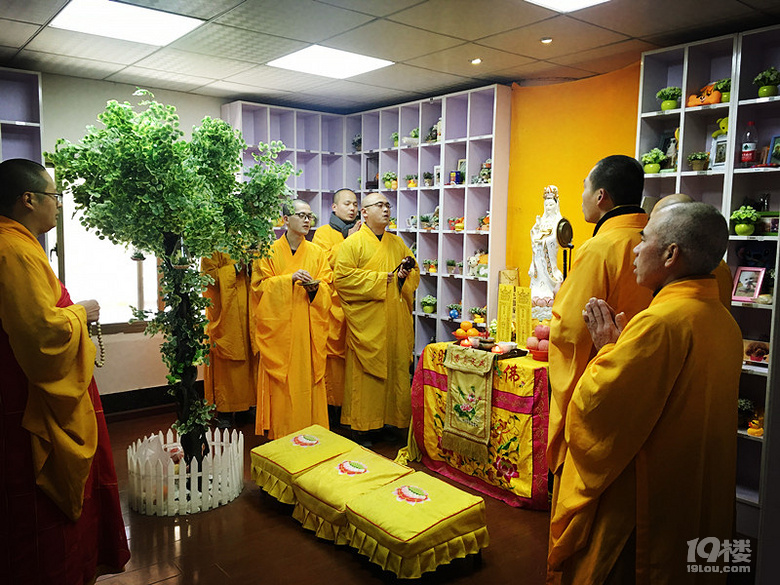 祈福長至節(jié)  彼岸蓮花開