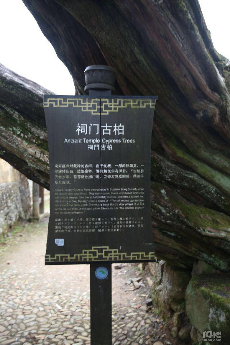 景寧，我來了