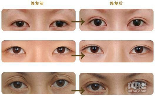 úݾW(wng)t䌍(sh)ȥ@