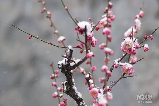    ѩͬ췼m