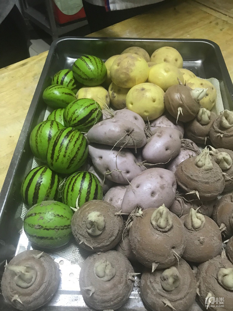 象形馬蹄包