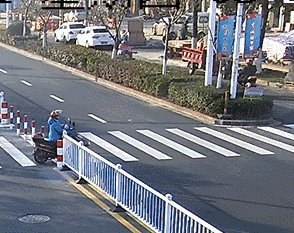 命大!乍浦小羊头部被货车碾后竟奇迹生还,只因为