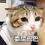 2017㻨˶XԼĘ