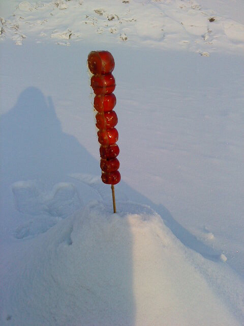 杭州下雪了!终于等到这一天!