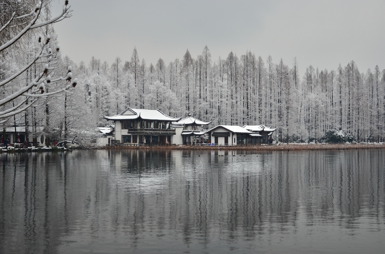 2018 西湖 雪景(1)-19摄区-杭州19楼