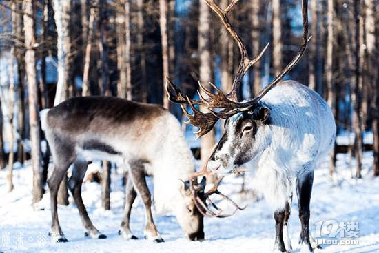 һ֧Ƽy(ni)ɁҊ(ni)ɹŶй