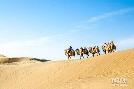 һ֧Ƽy(ni)ɁҊ(ni)ɹŶй