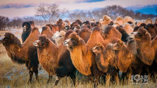 һ֧Ƽy(ni)ɁҊ(ni)ɹŶй