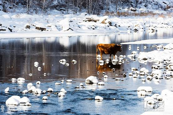 һ֧Ƽy(ni)ɁҊ(ni)ɹŶй