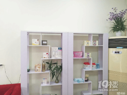 找专业月嫂、育儿嫂就找衢州半边天