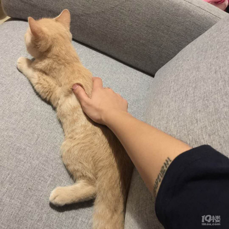 我的迪迪走了....