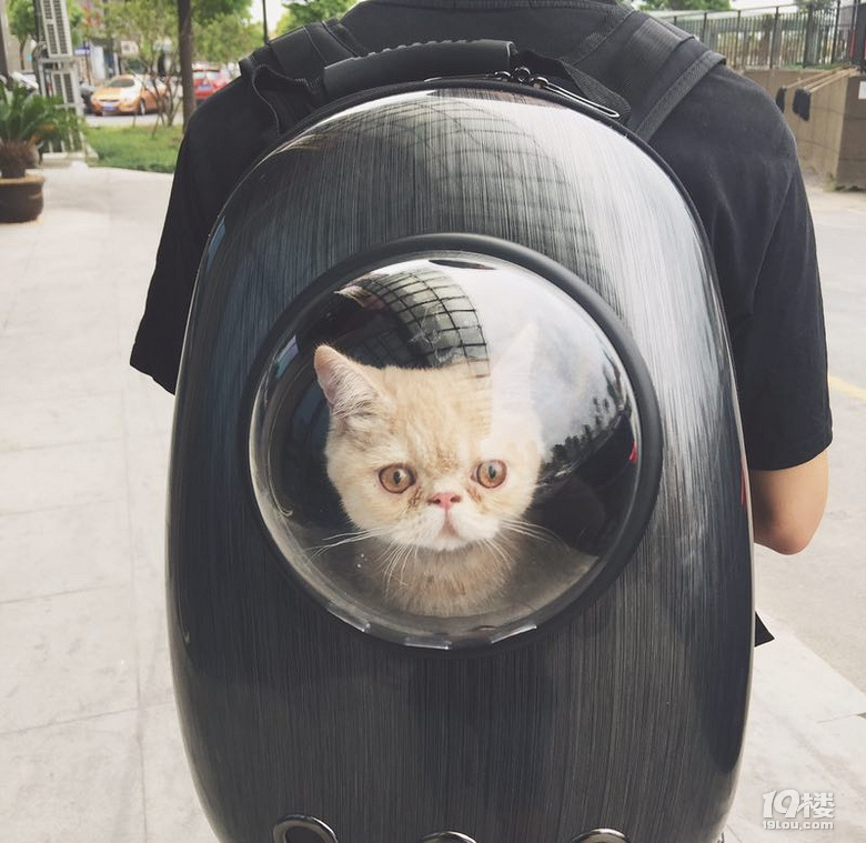 我的迪迪走了....