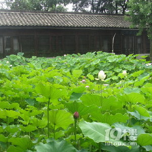 莊游農(nóng)莊之--杭州富陽《三味農(nóng)莊》
