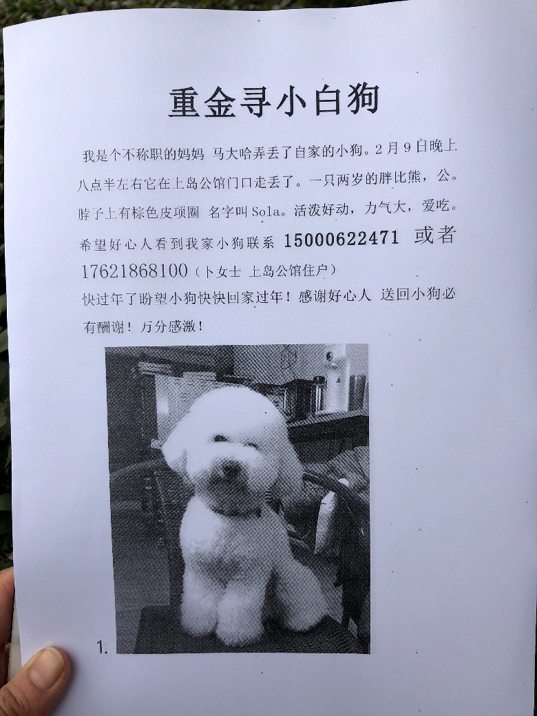 本周末太阳现身沪上最大哈希娱乐- 哈希游戏平台- 哈希游戏官方网站规模荷莲盛宴将启幕夏日版“潦草小狗”亮相